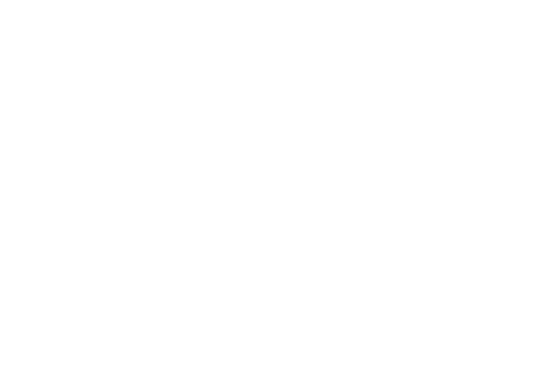 The Messianic Network Logo